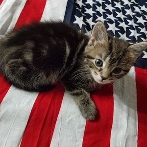 Meet your Posher, Mildred